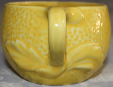 Leaves under handle of yellow jug Mimosa juicer