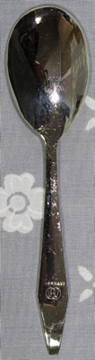 Teaspoon for a DRGM GERMANY stainless steel cocktail shaker with juicer