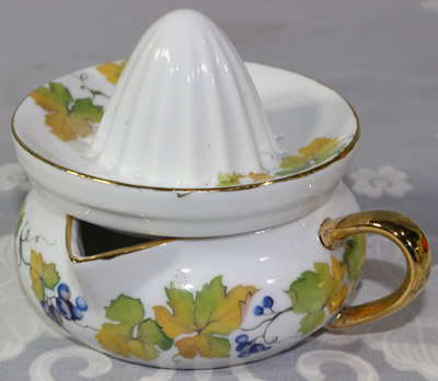 Autumn leaves and blue berries pattern juicer
